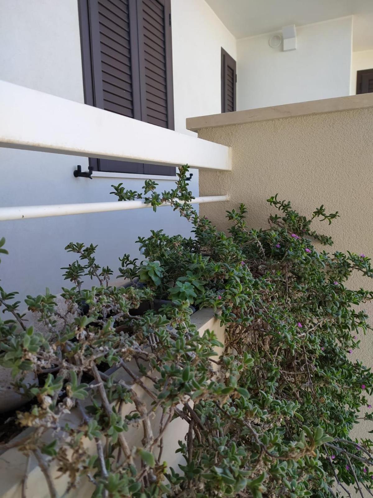 Le Colonie Apartments Porto Cesareo Zewnętrze zdjęcie
